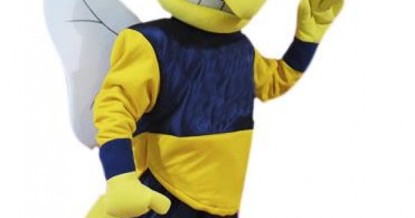 high school mascot costumes