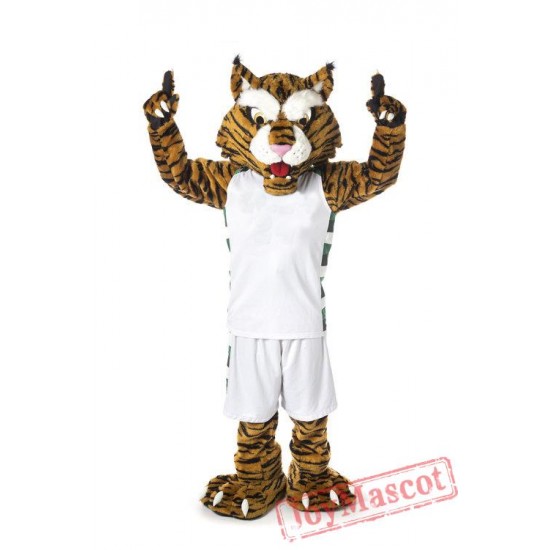 high school mascot costumes