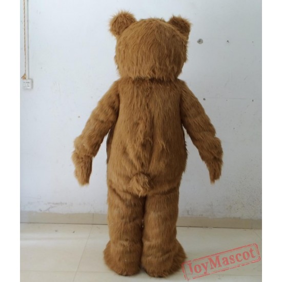 teddy mascot