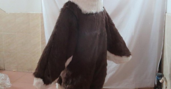 White Head Brown Eagle Costume Mascot Cartoon For Performance Fursuit