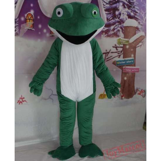 Adult Frog Mascot Frog Cosume