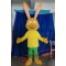 Long Ear Rabbit Mascot Costumes School Team Sport