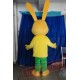 Long Ear Rabbit Mascot Costumes School Team Sport