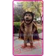 Mascot Purple Animal Mascot Costume