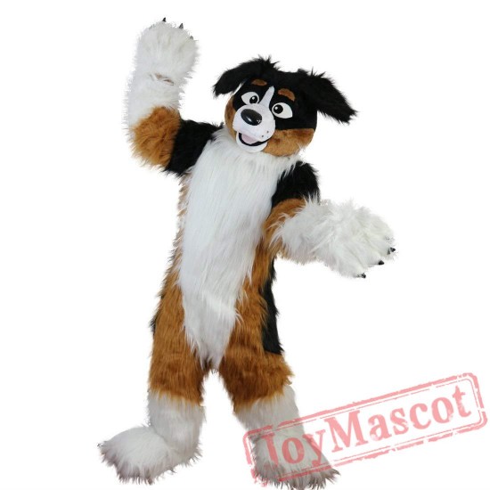 Border Collie Husky Dog Mascot Costume